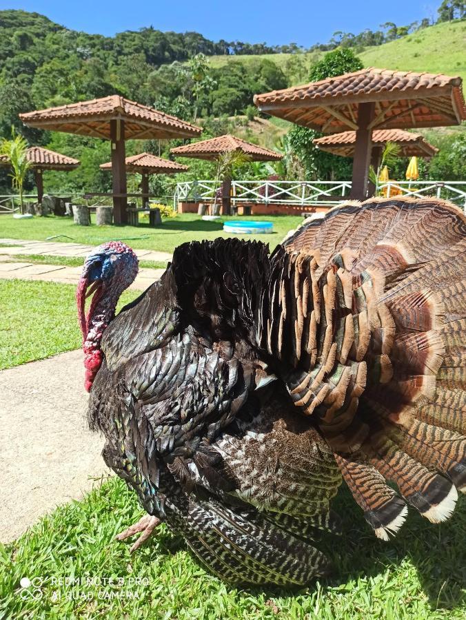 Pousada Espaco Da Onca Lumiar Kültér fotó