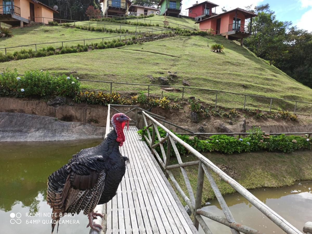 Pousada Espaco Da Onca Lumiar Kültér fotó